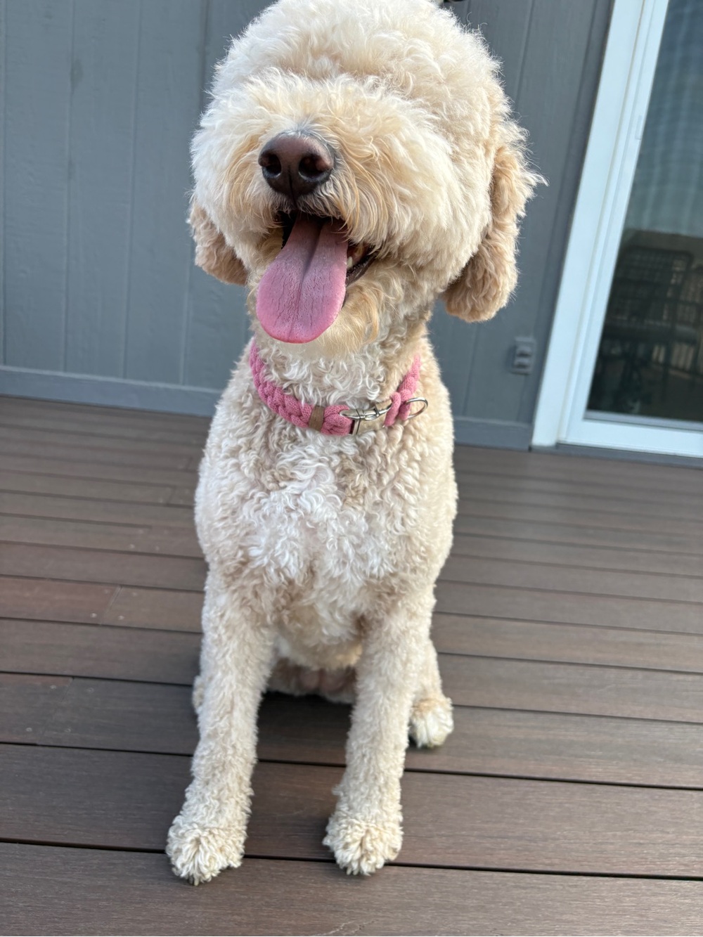 Puffy Pink Dog Collar- Size M 18.5”